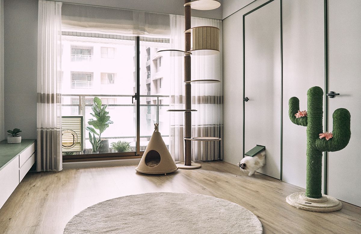 The house is for pet owners - Interior Design Ideas