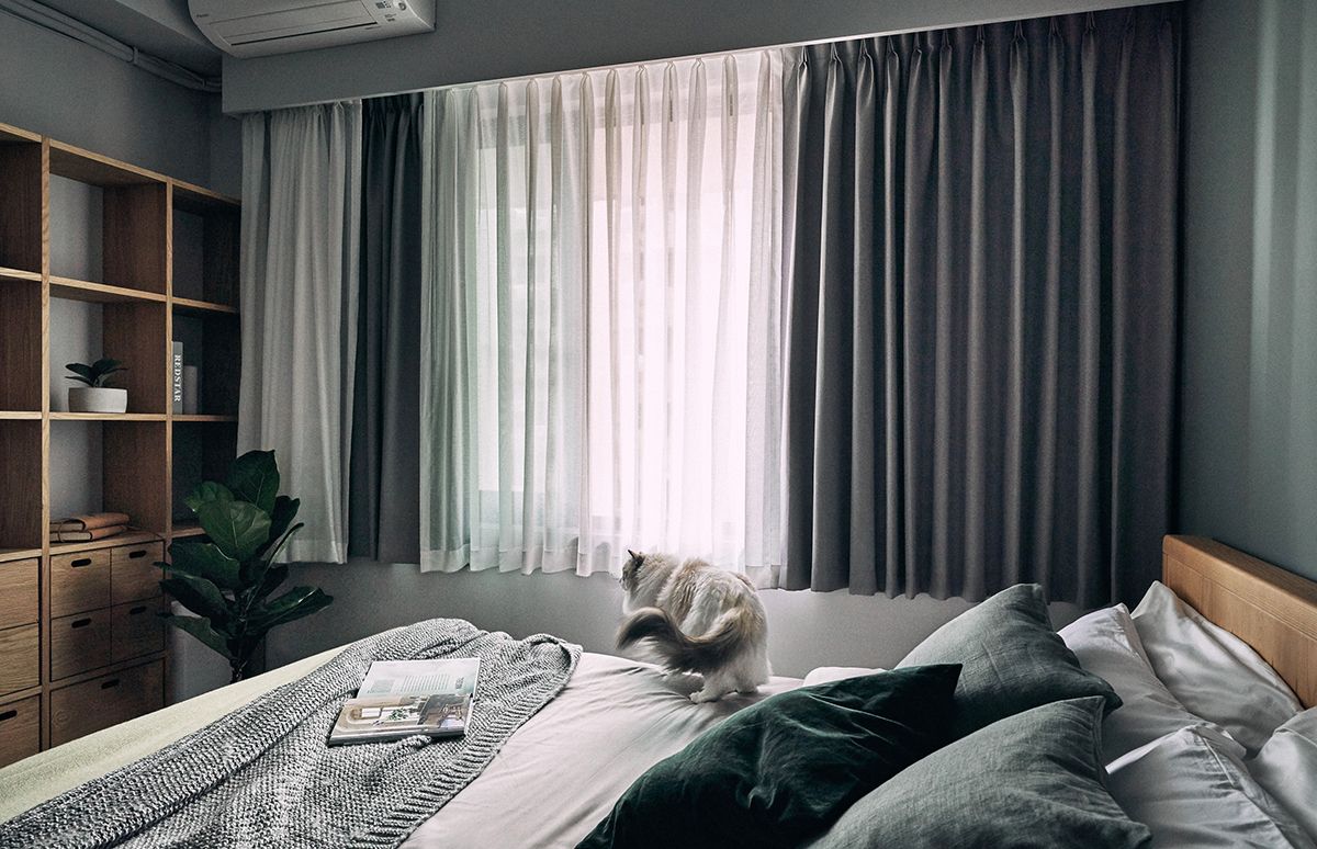 The house is for pet owners - Interior Design Ideas