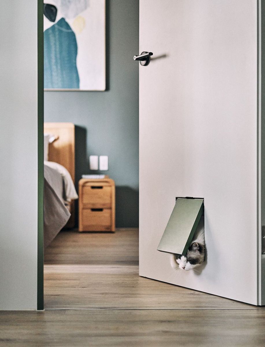 The house is for pet owners - Interior Design Ideas