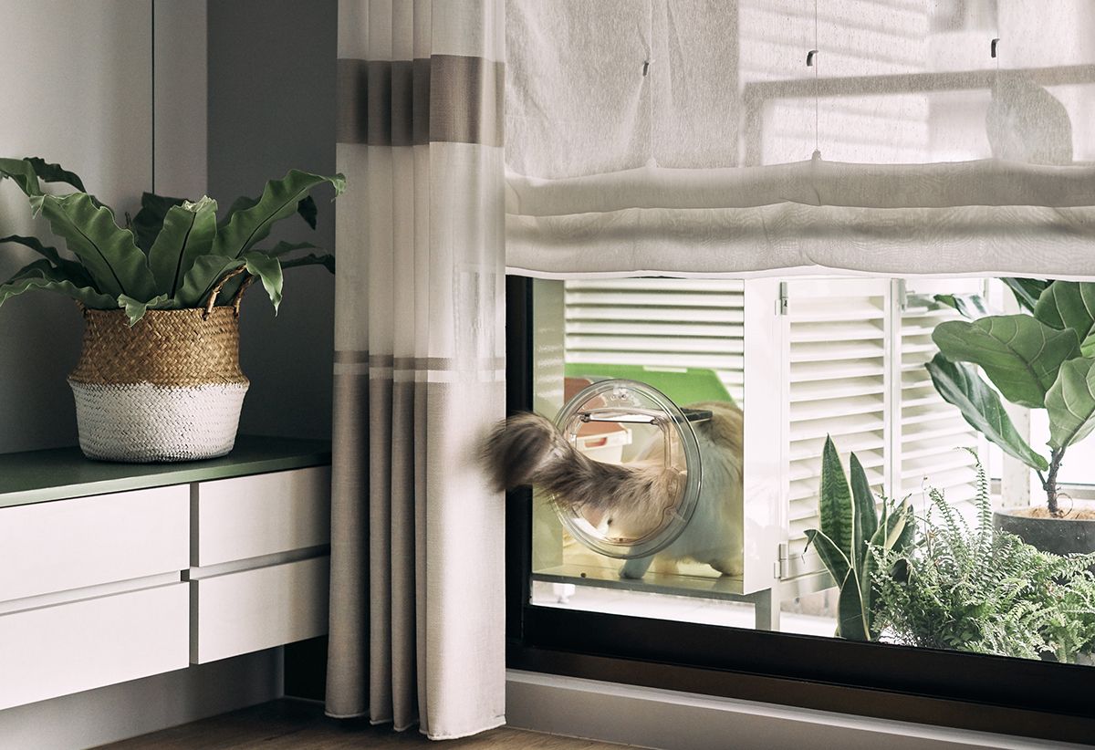 The house is for pet owners - Interior Design Ideas